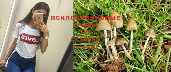 ПСИЛОЦИБИНОВЫЕ ГРИБЫ Балахна