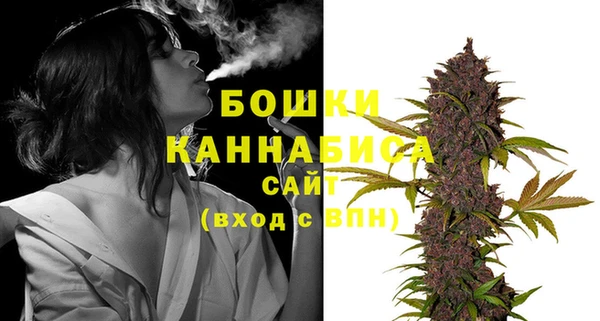 ПСИЛОЦИБИНОВЫЕ ГРИБЫ Балахна