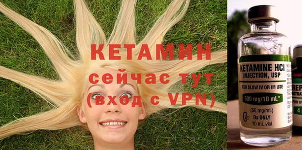 прущие грибы Баксан