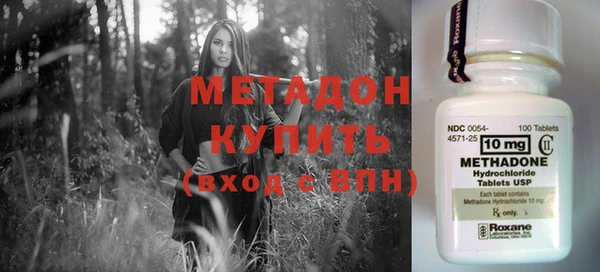 прущие грибы Баксан
