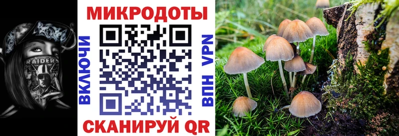 OMG ССЫЛКА  Усолье-Сибирское  Псилоцибиновые грибы прущие грибы  хочу  